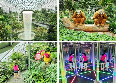 Canopy Park at Jewel Changi Airport: A Detailed Guide