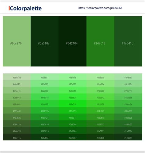 450+ Latest Color Schemes with Forest Green And Dark Green Color tone combinations | 2021 ...