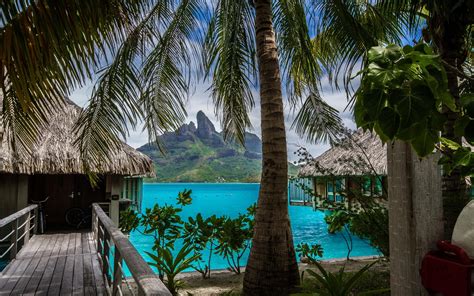 Nature, Landscape, Tropical Island, Beach, Resort, Palm Trees, Sea, Bora Bora, Vacations ...