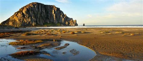 Attractions in Morro Bay National Estuary | Morro Bay attractions