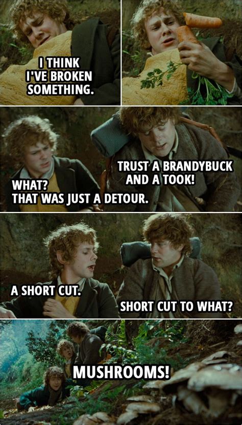 Funny Quotes From Lotr - ShortQuotes.cc