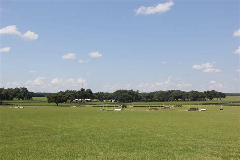 Contact - Majestic Oaks Ocala