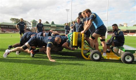 Rugby Scrum Machine - Kiwi Sled Scrum Machine With Fixed Arms | Net World Sports : All of our ...