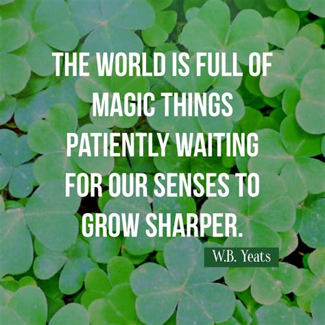 20+ Quotes About Shamrocks - MaximTaylor