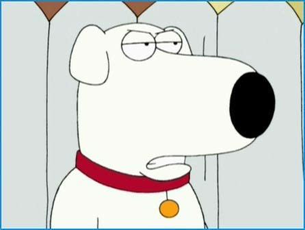 Brian Griffin - Family Guy Photo (19638132) - Fanpop