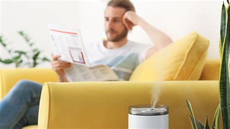 Where to Put Humidifier? Living Room or Bedroom?