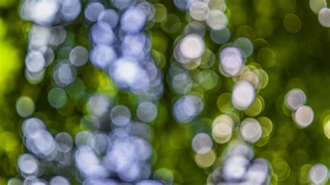 Light Bokeh Photography · Free Stock Photo