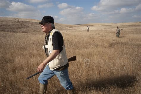 How to Hunt Pheasants in 4 Different Habitats