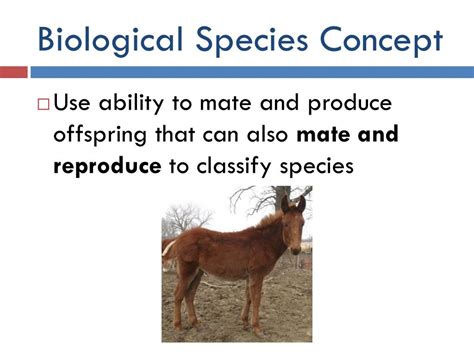 Simbol Simbol Dalam Biological Species Concepts Biological Weathering ...