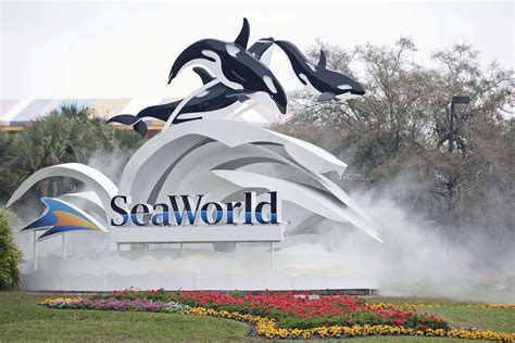 A Budget Travel Guide to SeaWorld Discount Tickets