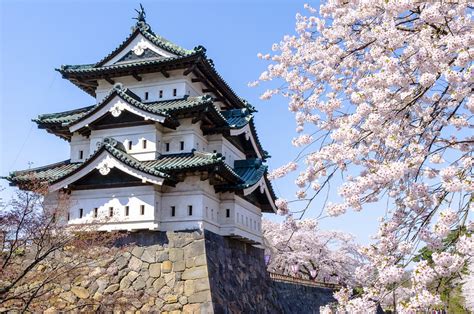 The Historic Hirosaki Castle | KCP Japanese Language School