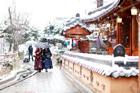 5 DAYS Korea Winter Ski Experience Tour Package / Korea package tour