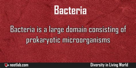 Bacteria Domain - NEETLab