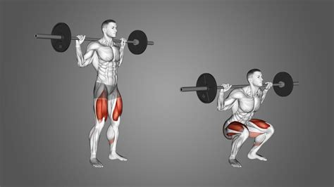 Actualizar 65+ imagen how to do squats properly with bar - Abzlocal.mx