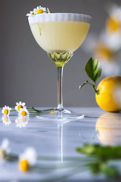 Lemon Chamomile Spring Cocktail – HonestlyYUM