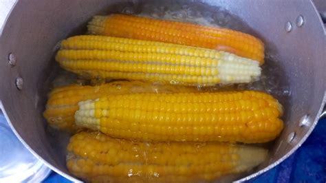 Boiling Corn On The Cob: Best Way To Boil Corn On Cob - Food - Nigeria