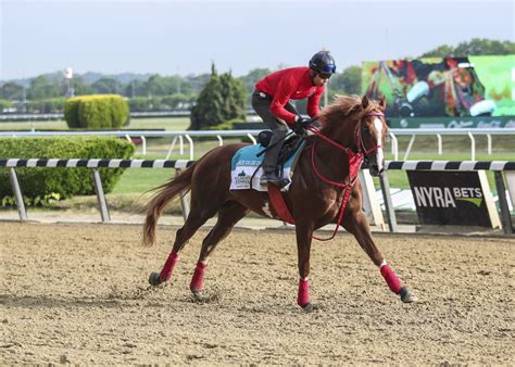 Belmont Stakes 2024 Cancelled - Ailis Arluene