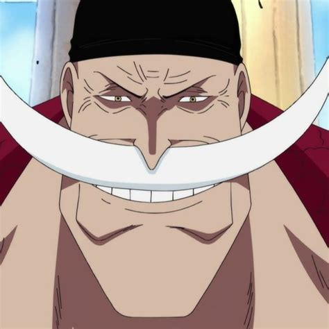 Edward "Whitebeard" Newgate (Portrait) | Akuma no mi