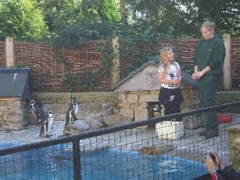 Harewood Bird Garden