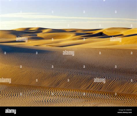 Sandunes at sunset Oregon Dunes National Recreational Area Oregon Stock ...