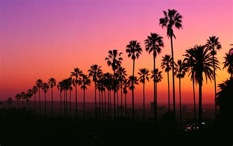 Los Angeles at Twilight [3840x2400] : r/wallpaper