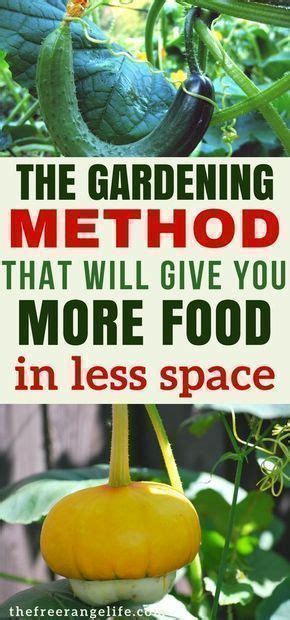 Vegetable gardening tips and tricks – Artofit