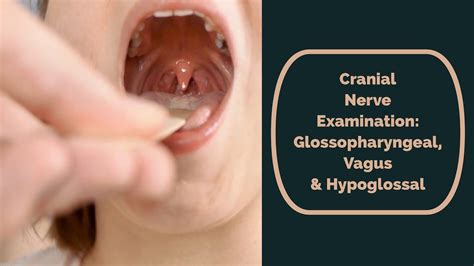 Gag Reflex Test