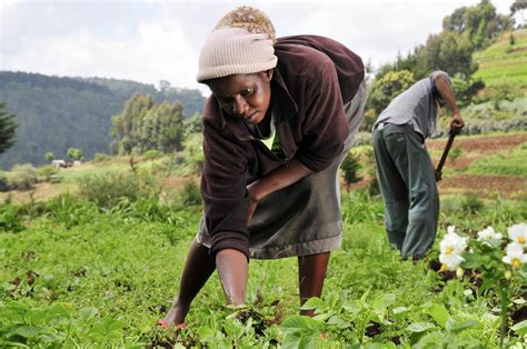 File:Woman farmer in Kenya.jpg - Wikimedia Commons
