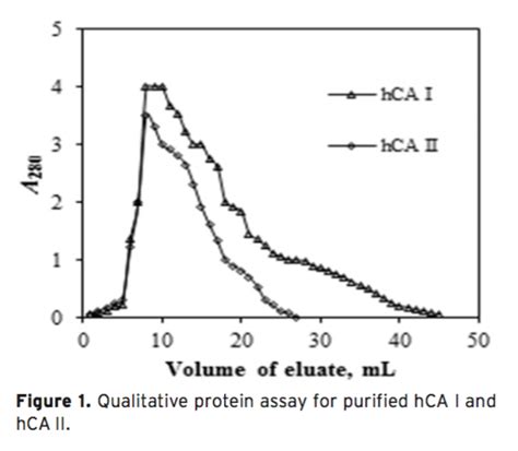 Investigation of The Effects of Some Edible Mushroom Extracts on Human Carbonic Anhydrase ...