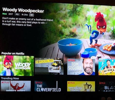 The live-action Woody Woodpecker movie is now available on Netflix. #woodywoodpecker #universal ...