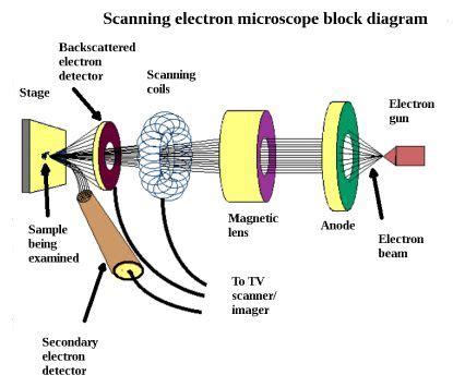 Scanning Tunneling Microscope Diagram