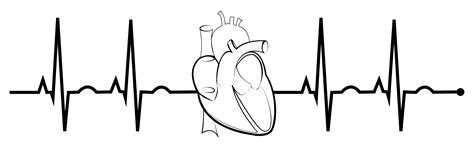 EKG Realistic Heart Clip Art Image - ClipSafari