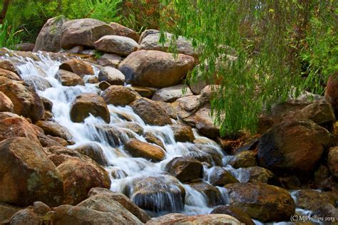 King Parks Creek | Kings Park, Perth, Western Australia | Michael Phillips | Flickr