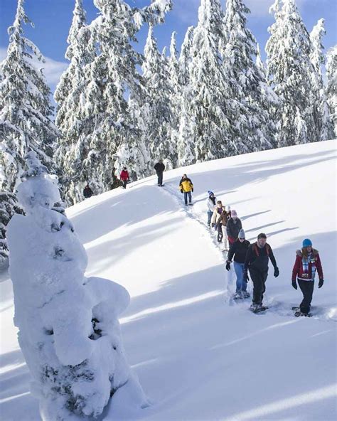 Best National Parks to Visit in Winter: Epic Winter Wonderland Adventures | Crater lake national ...