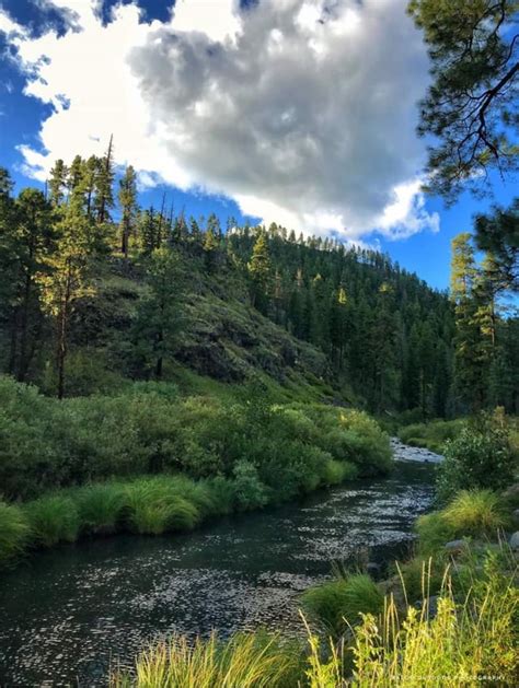 Black River Southwest of Alpine, Arizona : arizona