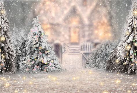 Photography Backdrops Christmas Background Backdrops Snow Forest Bokeh ...