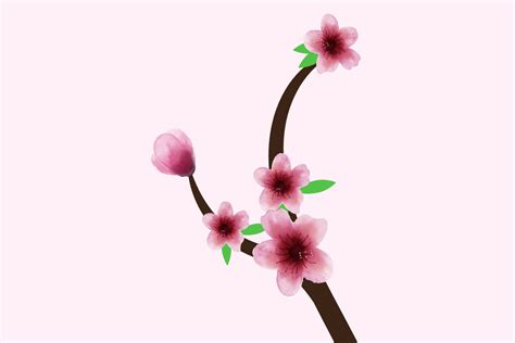 Watercolor Japanese Cherry Blossom Art Graphic by pixeness · Creative Fabrica