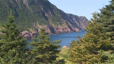 The East Coast Trail wants you to log its entire length in 3 months, for 2 good causes | CBC News