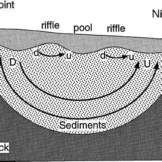 Schematic representation of large-scale downwelling (D) and upwelling ...