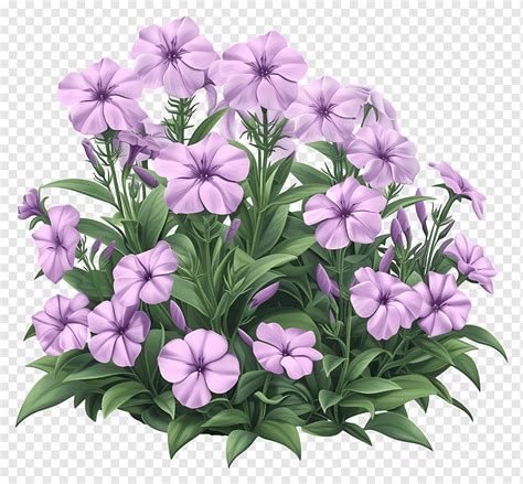 Pink flowers in pot, phlox flower, png | PNGWing
