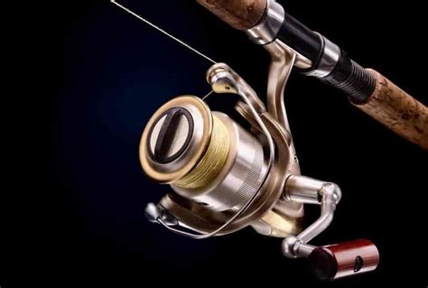 Shimano Stella SW Reel Review | Salted Angler