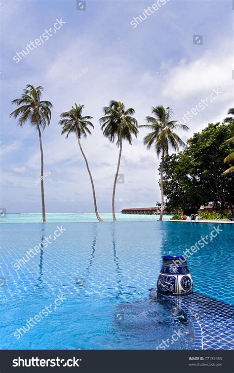 Infinity Pool Meeru Maldives Indian Ocean Stock Photo 77132953 ...