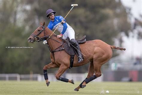 Pololine | "When it comes to polo horses, every stage of training is of equal importance"