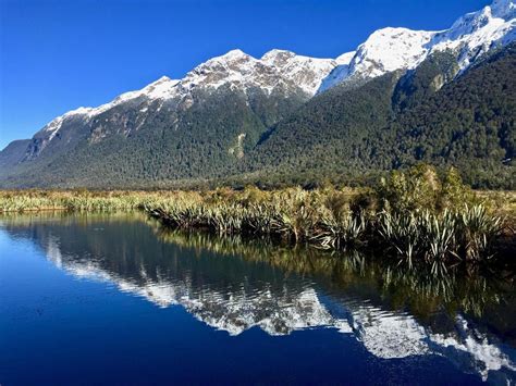 Mirror Lakes Fiordland National Park, New Zealand... (With images ...