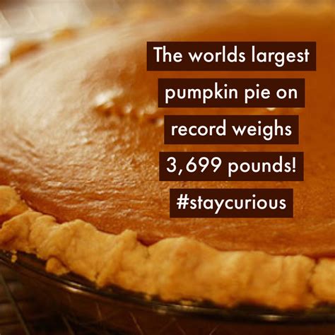 The worlds largest pumpkin pie on record weighs 3,699 pounds! — Curionic