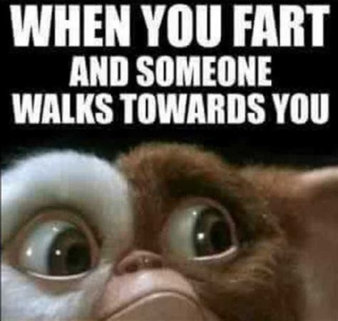 35 Fart Memes That Will Make You Stop and Laugh - SayingImages.com ...