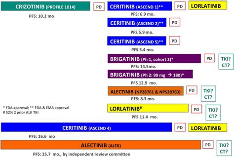 | Systematic treatment stratergies in ALK-positive non-small cell lung... | Download Scientific ...