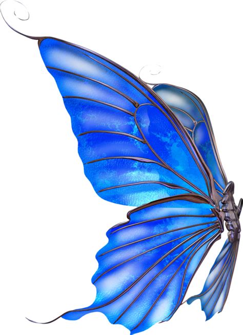 Butterfly Wings Side View Png