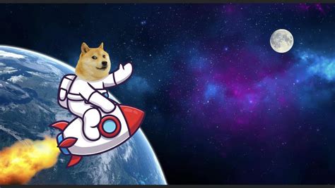 Dogecoin To The Moon / Dogecoin To The Moon Will Fund Spacex Project Musk Says Fox 2 : Dogecoin ...