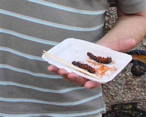 Eating centipedes in Yunnan Province, China - Bushguide 101